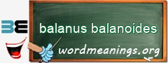 WordMeaning blackboard for balanus balanoides